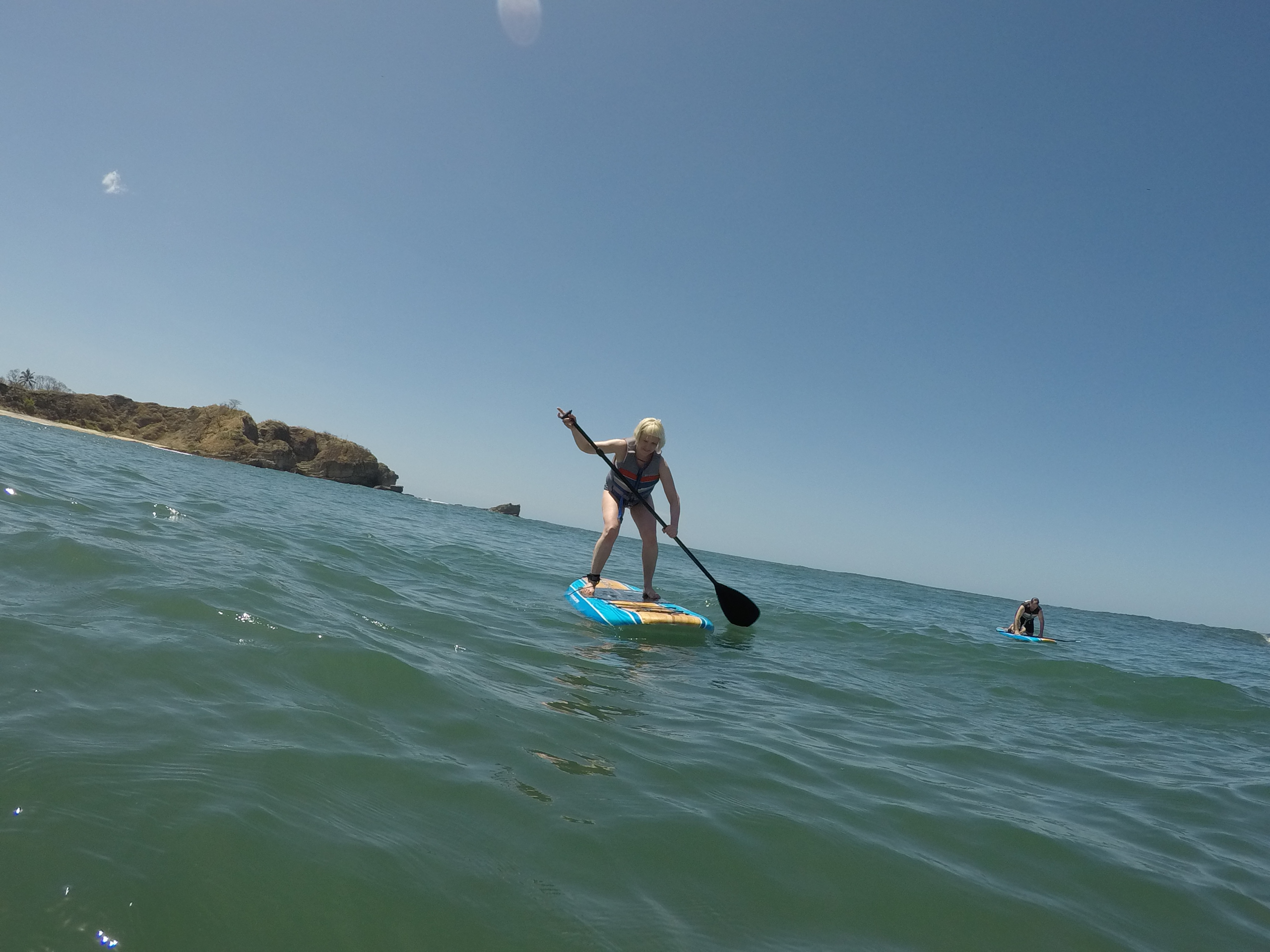 Wildlife spotting on boards