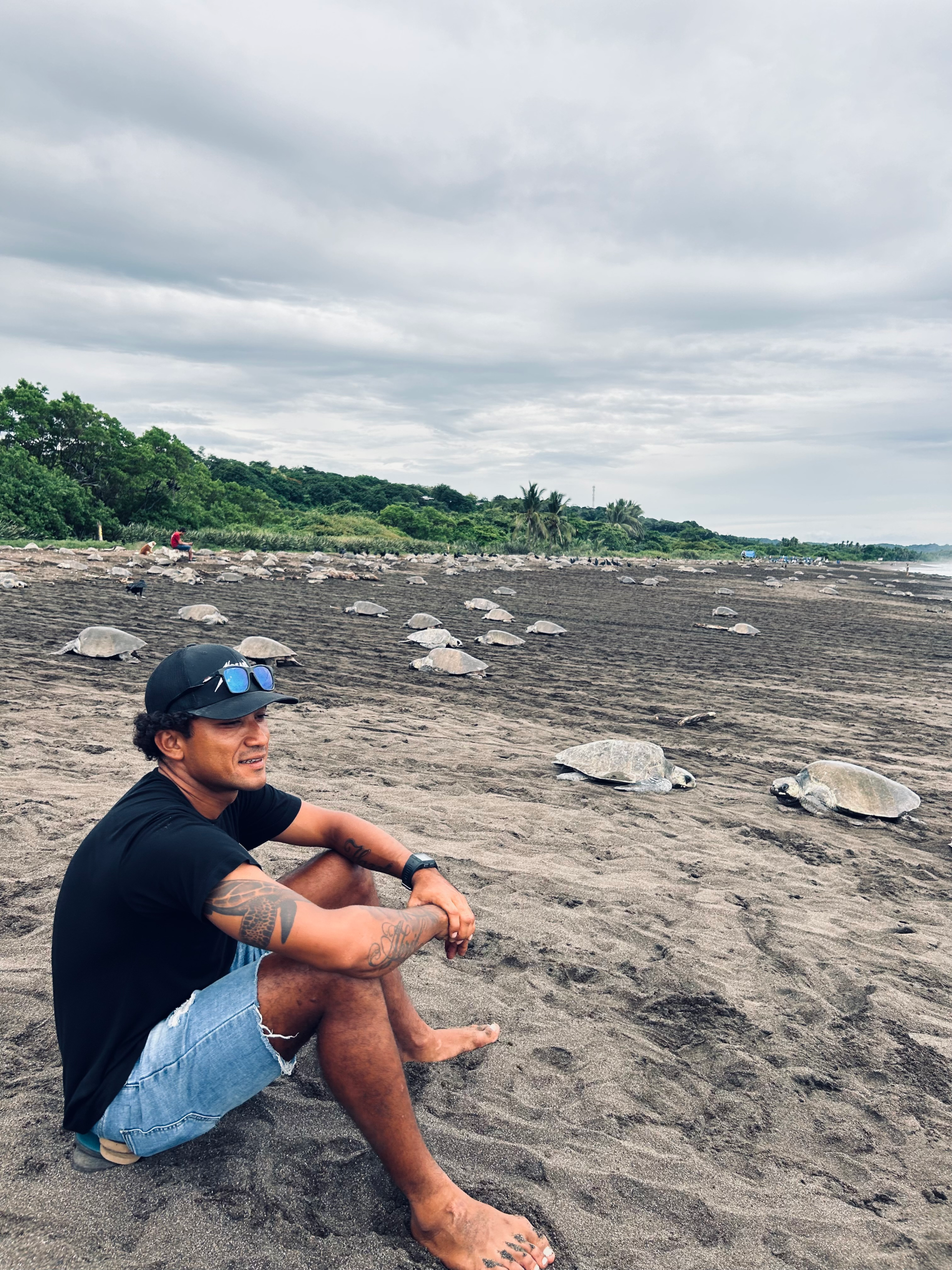 Turtle Tour Nosara