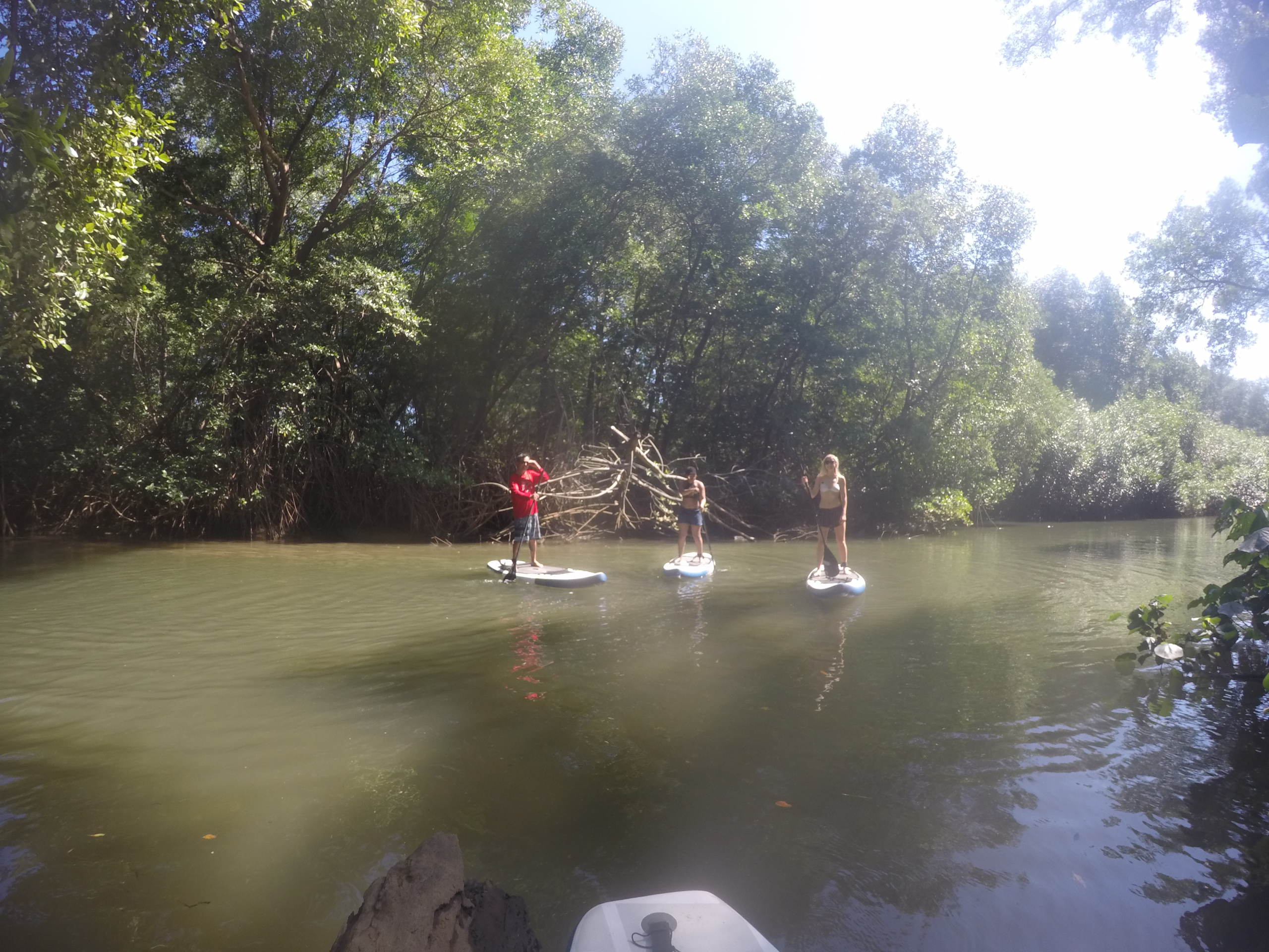 Guide pointing out wildlife on the river