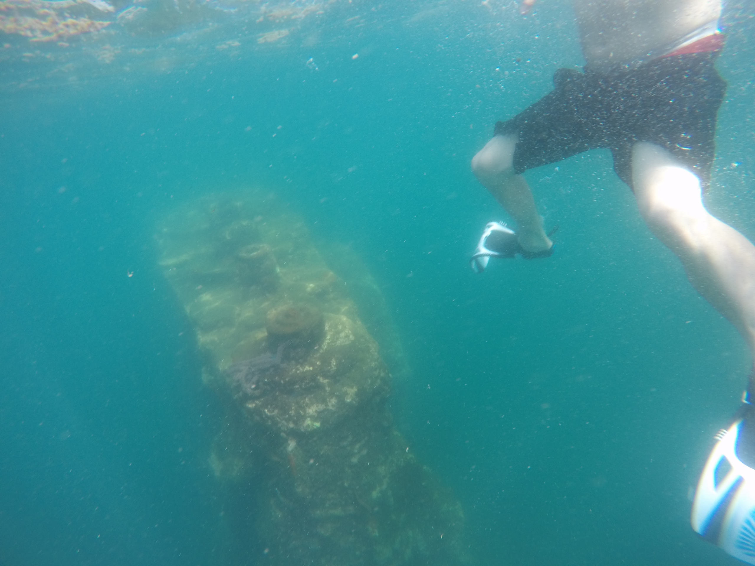 Drop over reef ledge