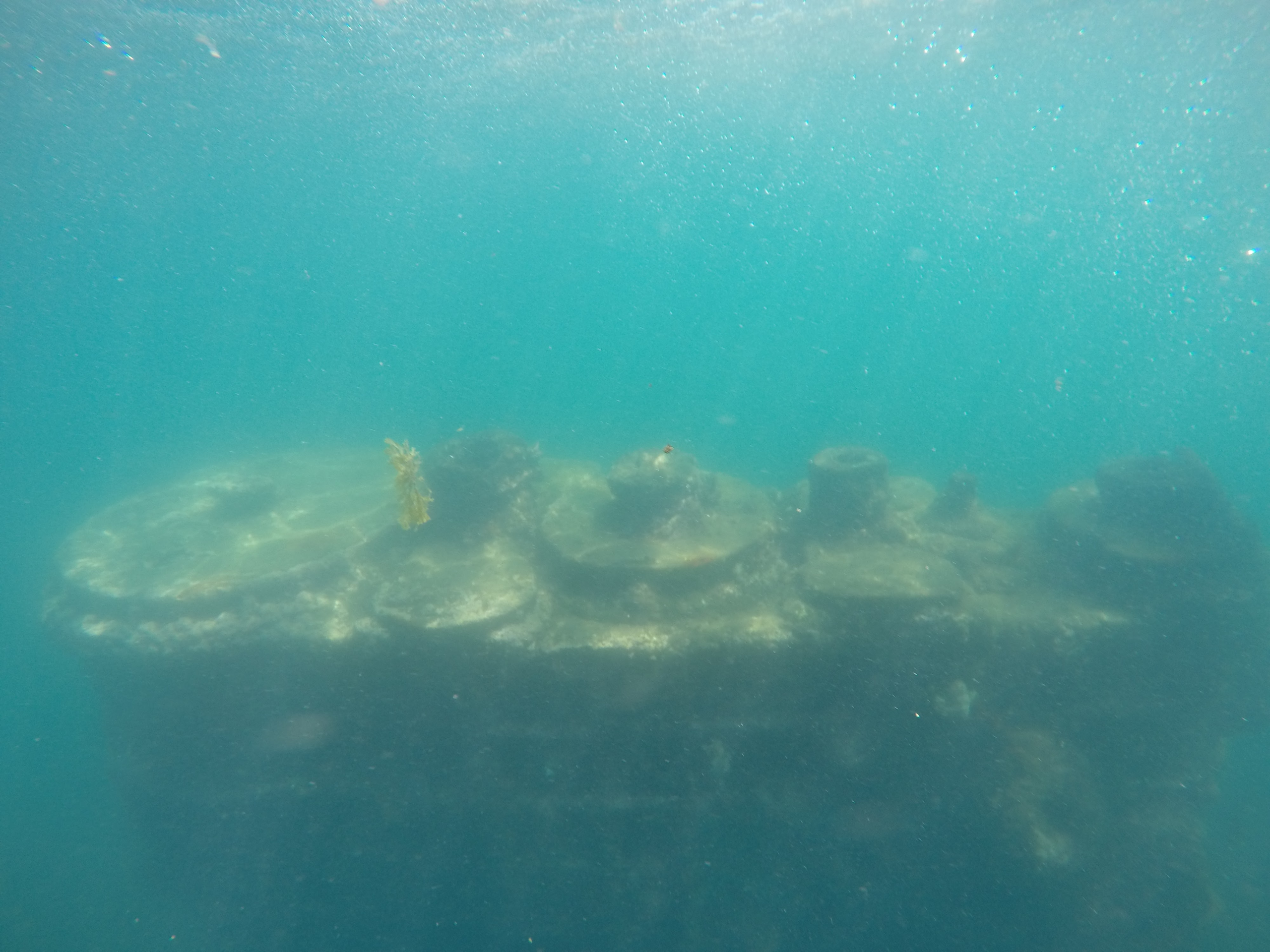 Divers prepping gear on the boat